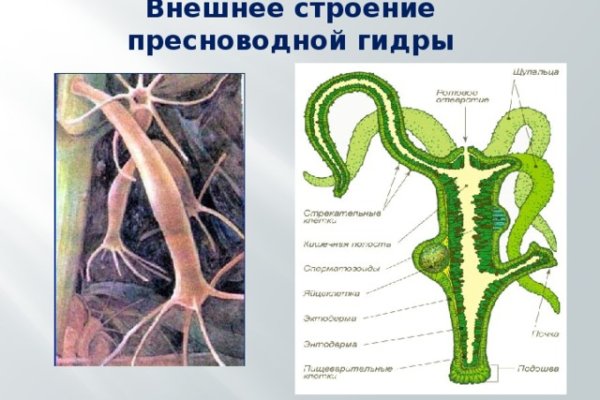 Официальная ссылка на кракен в тор