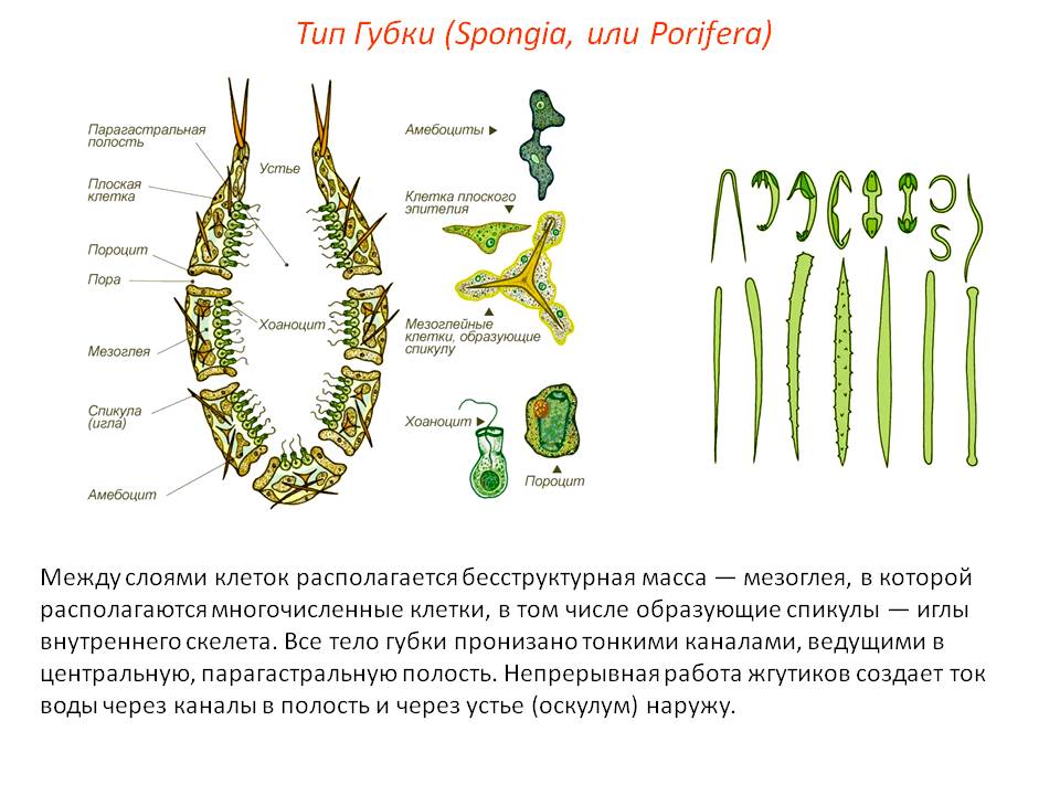 Kraken ссылка зеркало рабочее