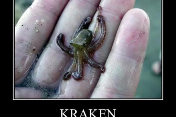 Kraken это современный маркетплейс